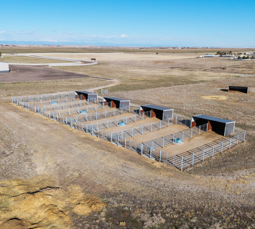 Elevate Ranch Horse Boarding Stalls and Paddocks