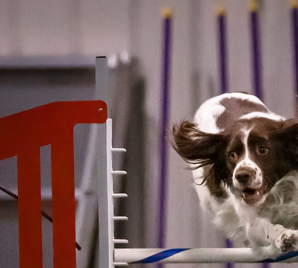 HiRes20pics (7 of 22)