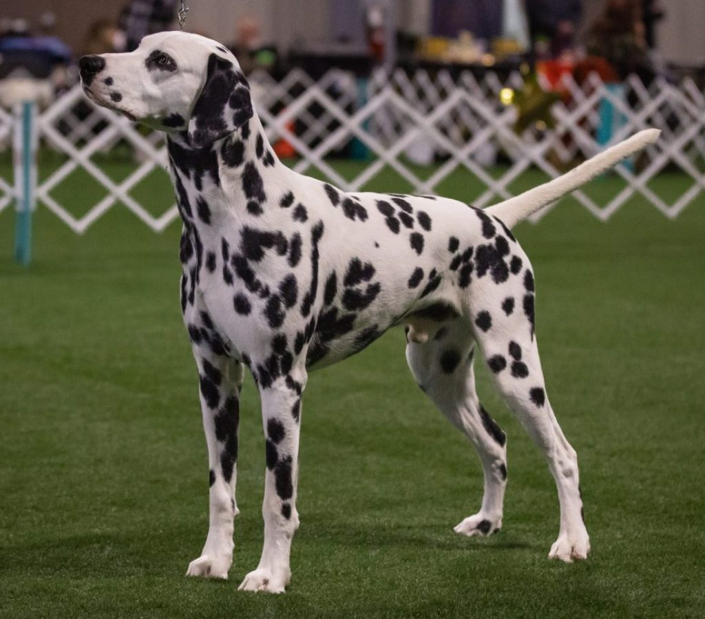 HiResConformation (12 of 25)