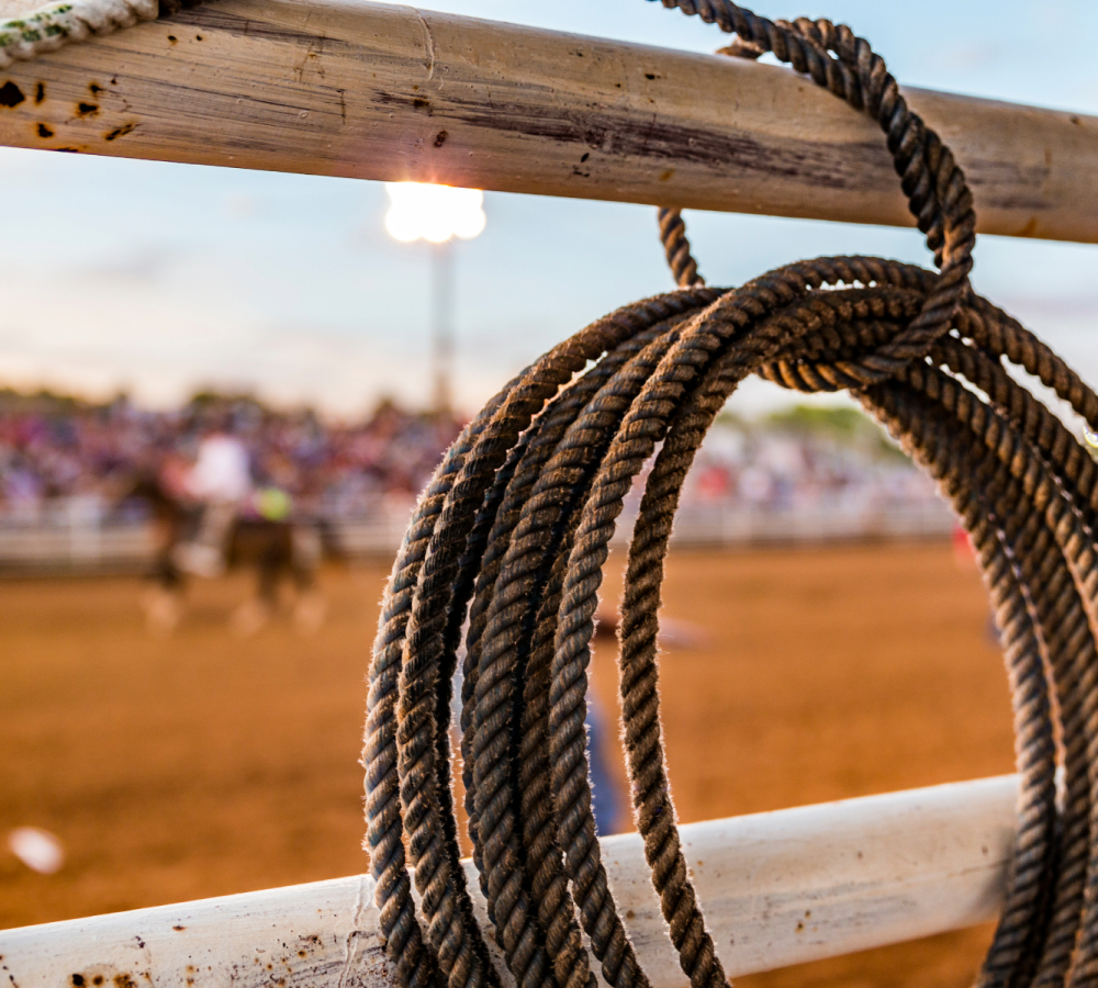 rodeo (3)